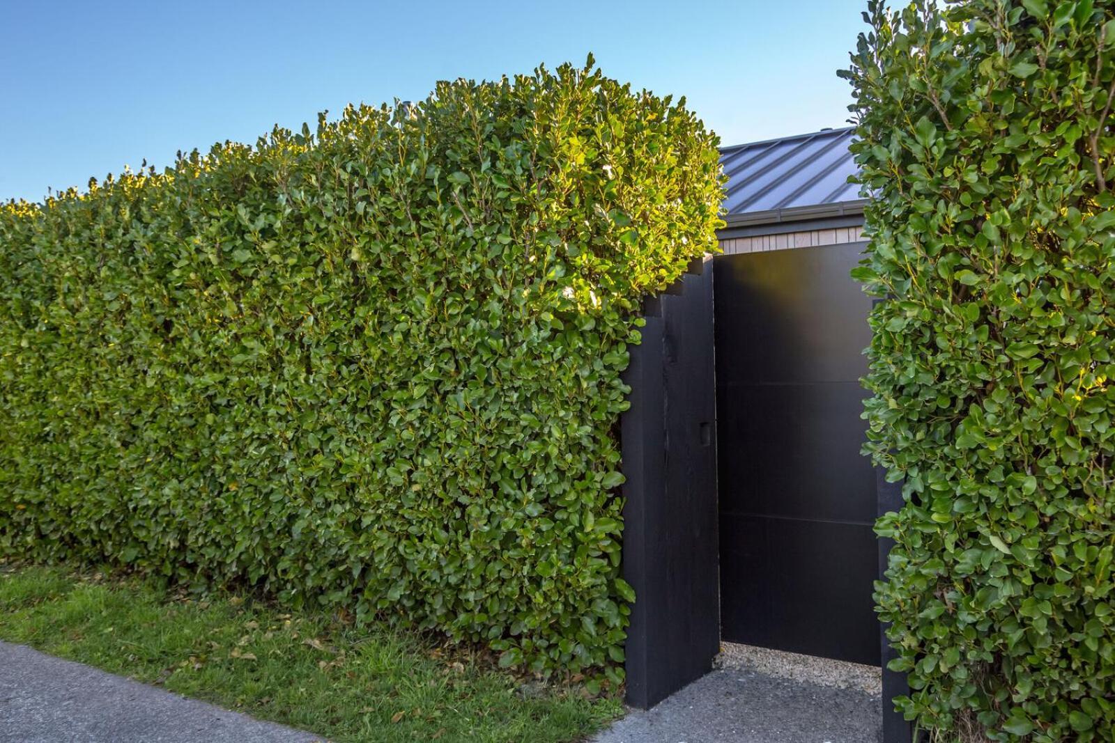 Haratei Villa Martinborough Exterior photo